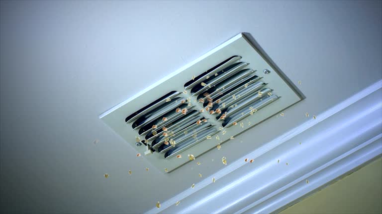 Best Duct Cleaning for Homes  in Johnson Lane, NV