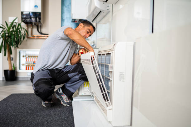 Best HVAC Duct Inspection Services  in Johnson Lane, NV