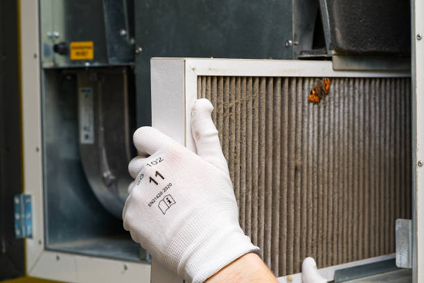 Best Affordable Air Duct Cleaning  in Johnson Lane, NV