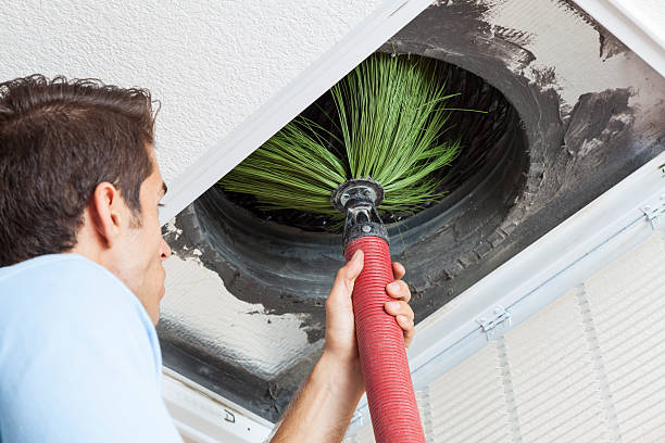 Best Duct Cleaning for Offices  in Johnson Lane, NV